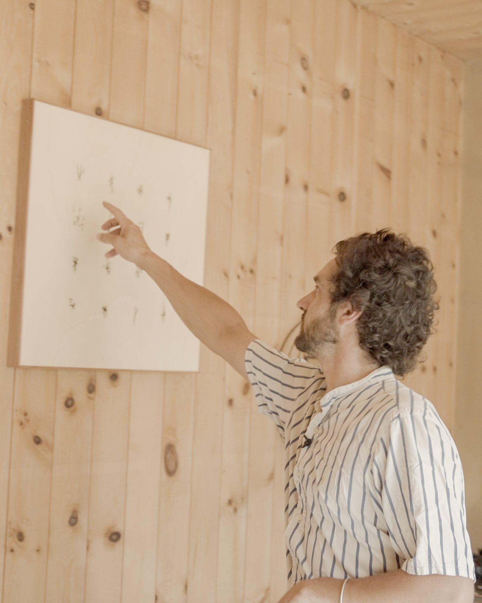 A Lichtenberg piece on the wall
